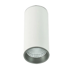 Spot sufitowy tuba śr. 9cm 12W LED barwa ciepła 3000K | biały/szary