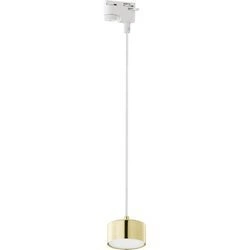 Lampa zwis do szyny TRACER 4481 1xGX53 biały/złoty 4481