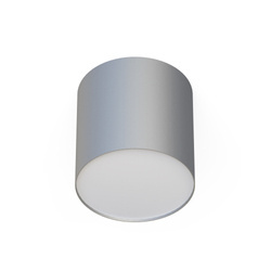 Punktowa lampa POINT PLEXI SILVER M | srebrny