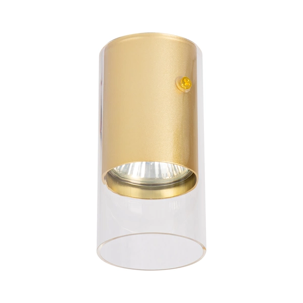 Oprawa Ricky Downlight Złoty 1xGU10