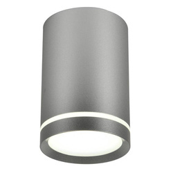 Lampa sufitowa TUBA 2277158, srebrna, 1x15W GU10