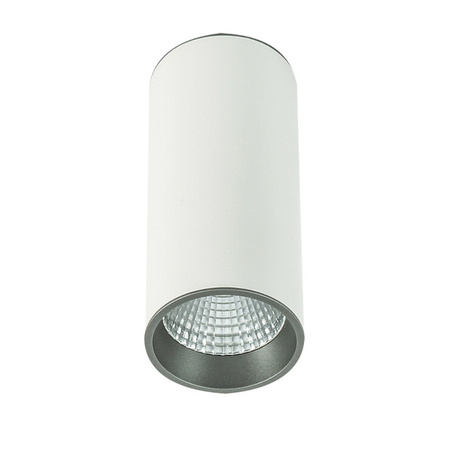 Spot sufitowy tuba Moldes Big śr. 9cm 12W LED barwa neutralna 4000K | biały/szary