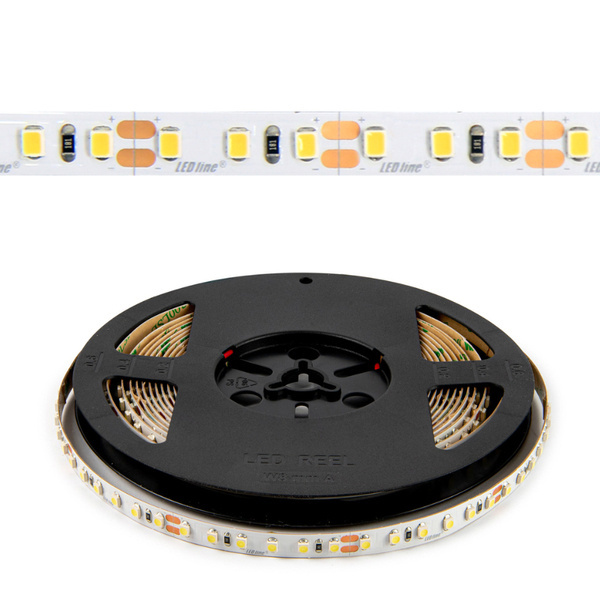 Taśma LED line 600 SMD2835 24V 6500K 9,6W rolka 5m | zimna