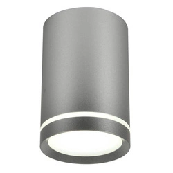 Lampa sufitowa TUBA 2277158, srebrna, 1x15W GU10