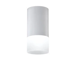 Lampa sufitowa TUBA 2273686, mrożony + szary, 1x15W GU10