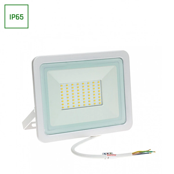 NOCTIS LUX 2 SMD 230V 50W IP65 CW WHITE BARWA CIEPŁA