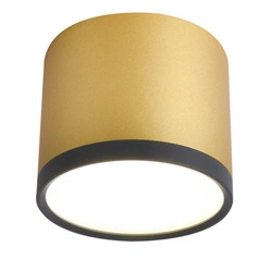 Lampa sufitowa TUBA 2275956, złoty/czarny, 9W LED, barwa neutralna 4000K