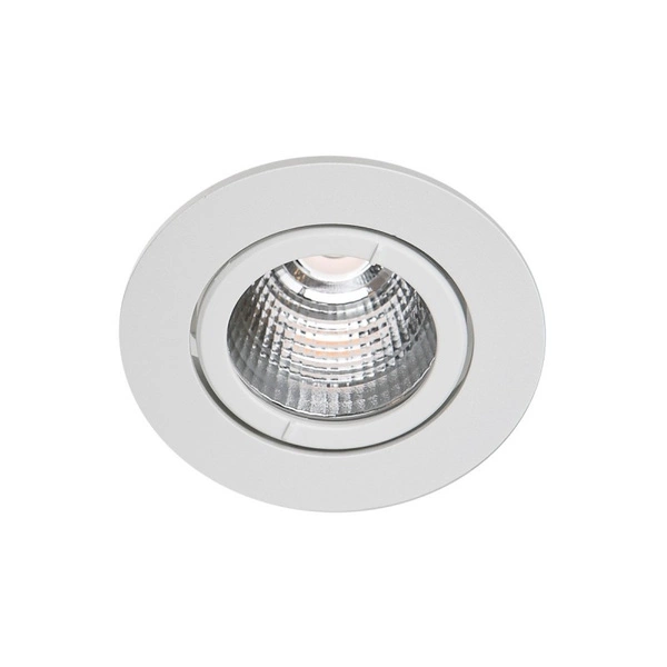 Oprawa wpuszczana Torres Adjust 8,5cm 13W LED ciepła biel 3000K | biały