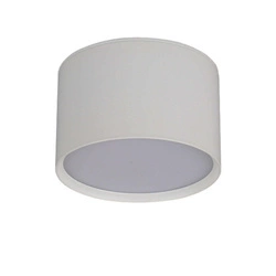 Oprawa natynkowa KENDAL, biała, 6W LED, barwa zmienna 3000K/4000K/6000K, IP54