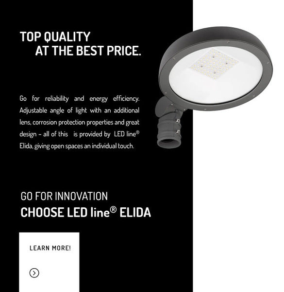 Oprawa uliczna na słupek LED ELIDA 70W 4000K neutralna IP65 | grafitowy