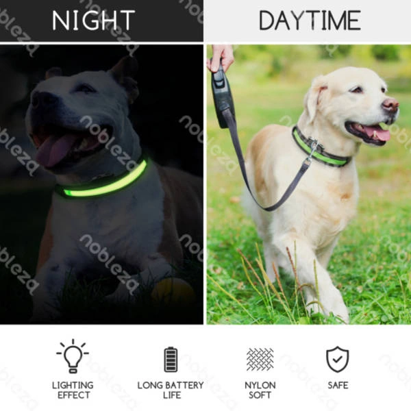 Świecąca obroża typ.B LED dla psa USB dł. 41-51cm | pomarańczowy