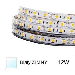 [OUTLET] Taśma LED 2835 12W biała zimna 6500K 12V | rolka 5m