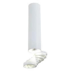 Lampa sufitowa TUBA 2282756 z regulowanymi pierścieniami, biała, 1x50W GU10